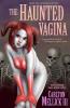 Book cover of The Haunted Vagina