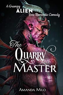 Book cover of The Quarry Master